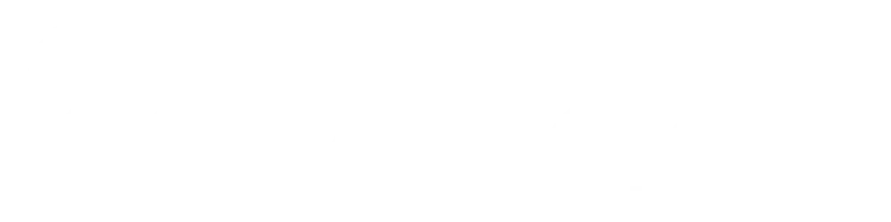 20 Wicket